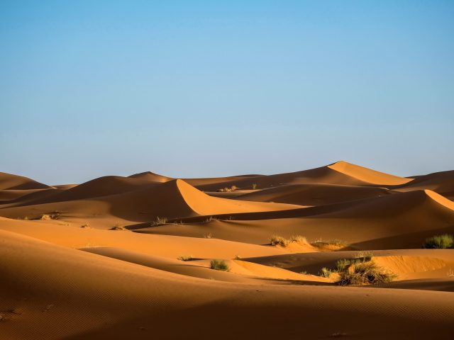 A beautiful shot of sand dunes with bushes and a clear sky in the background at daytime