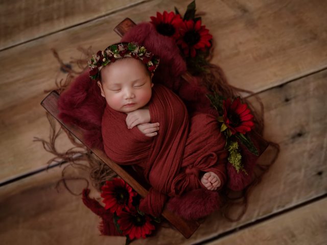 high-angle-view-christmas-tree