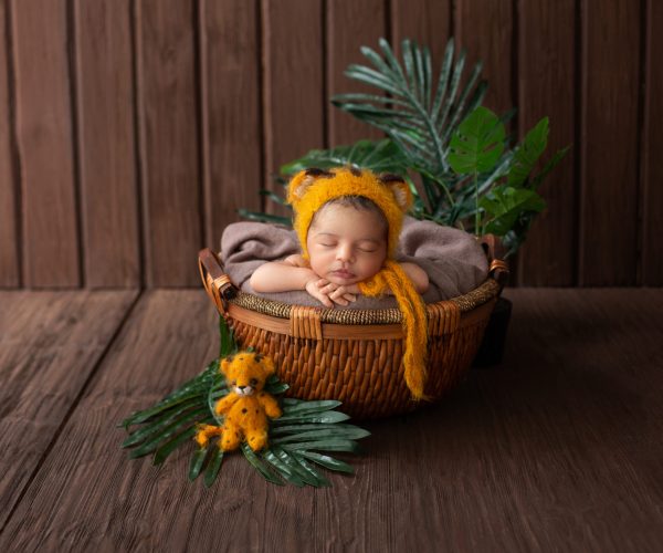 newborn-baby-pretty-likeable-infant-resting-yellow-animal-shaped-hat-inside-brown-basket-surrounded-by-green-plants-wooden-room